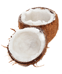 Coconut Shavings