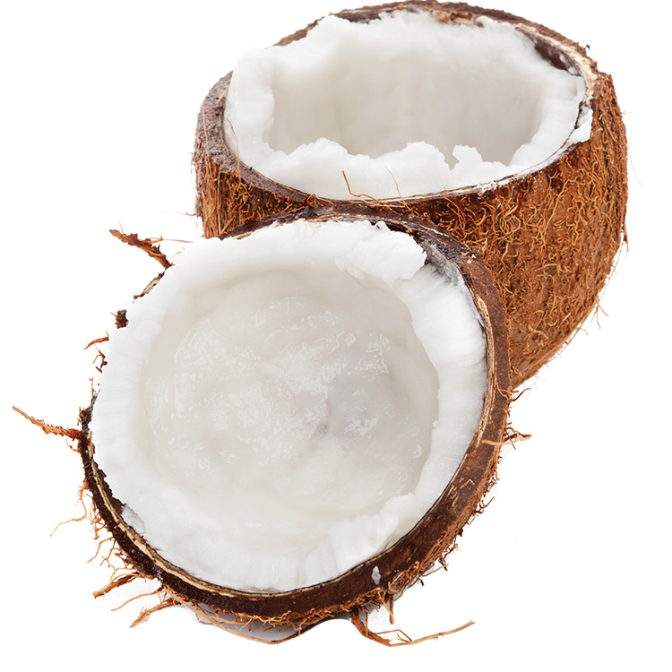 Coconut Shavings